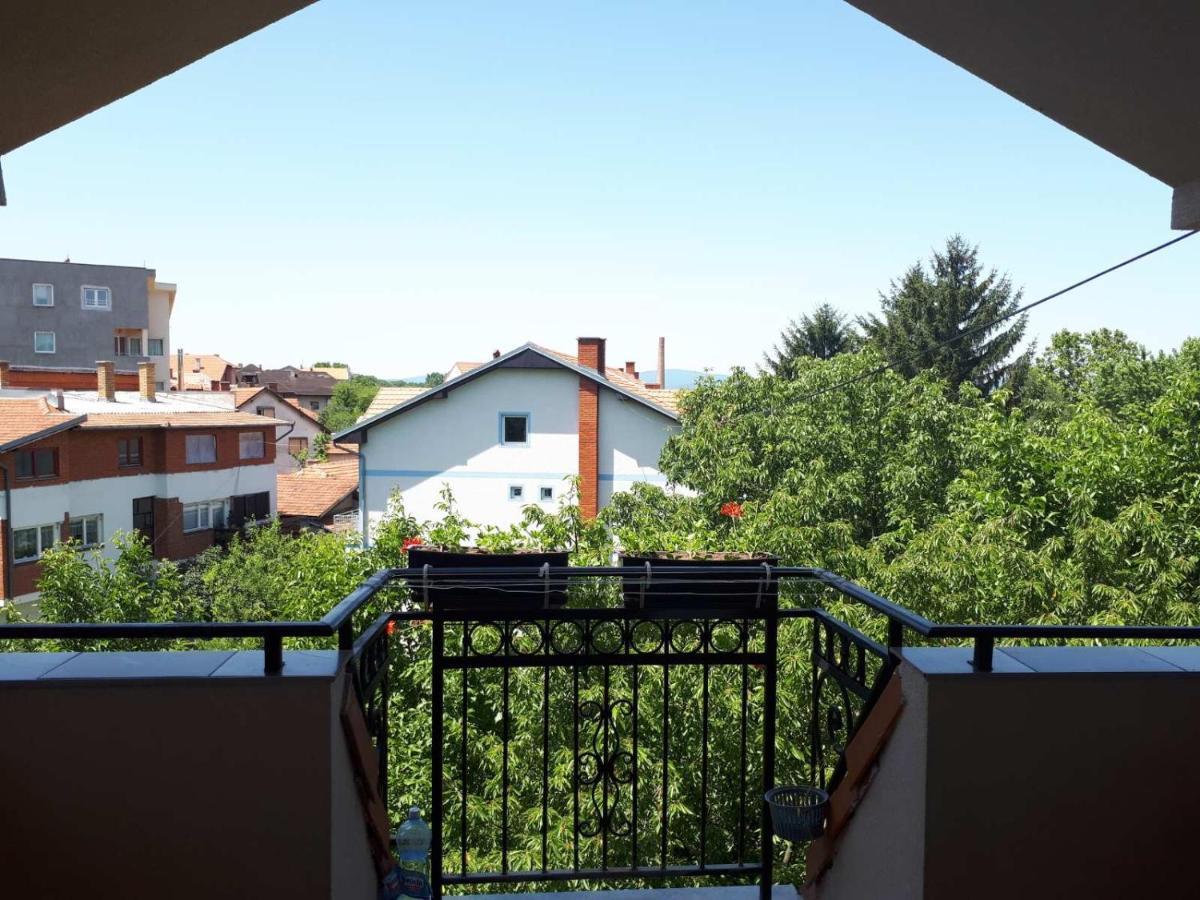 Smestaj Milenkovic Soko Banja Luaran gambar